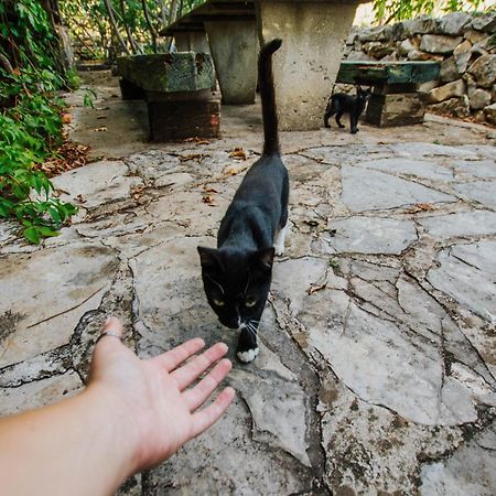 Country House Rusula Vrsine ภายนอก รูปภาพ