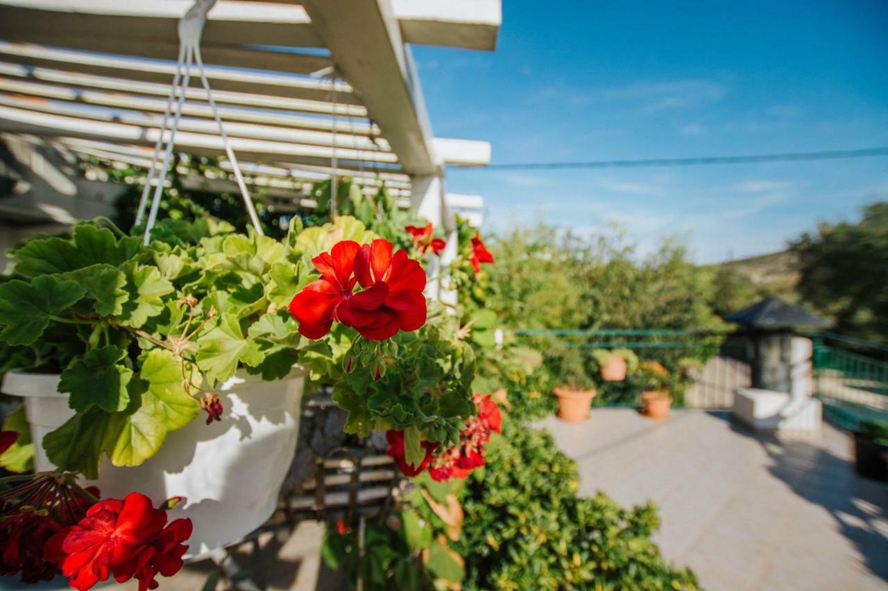 Country House Rusula Vrsine ภายนอก รูปภาพ