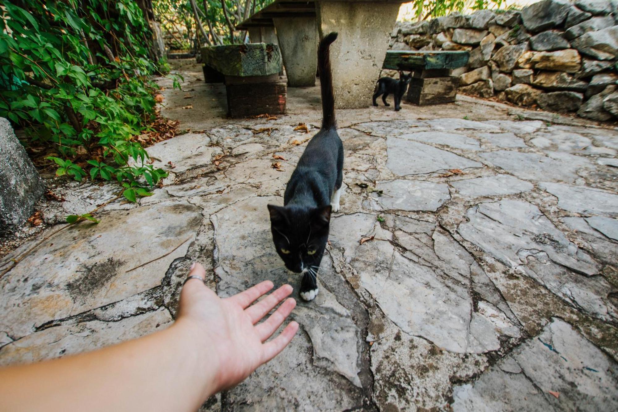 Country House Rusula Vrsine ภายนอก รูปภาพ